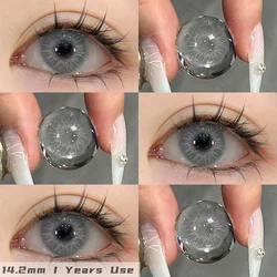 Vibrant Yearly Colored Contact Lenses - Natural Fashion Red & Blue (CYPRUS - GRAY)