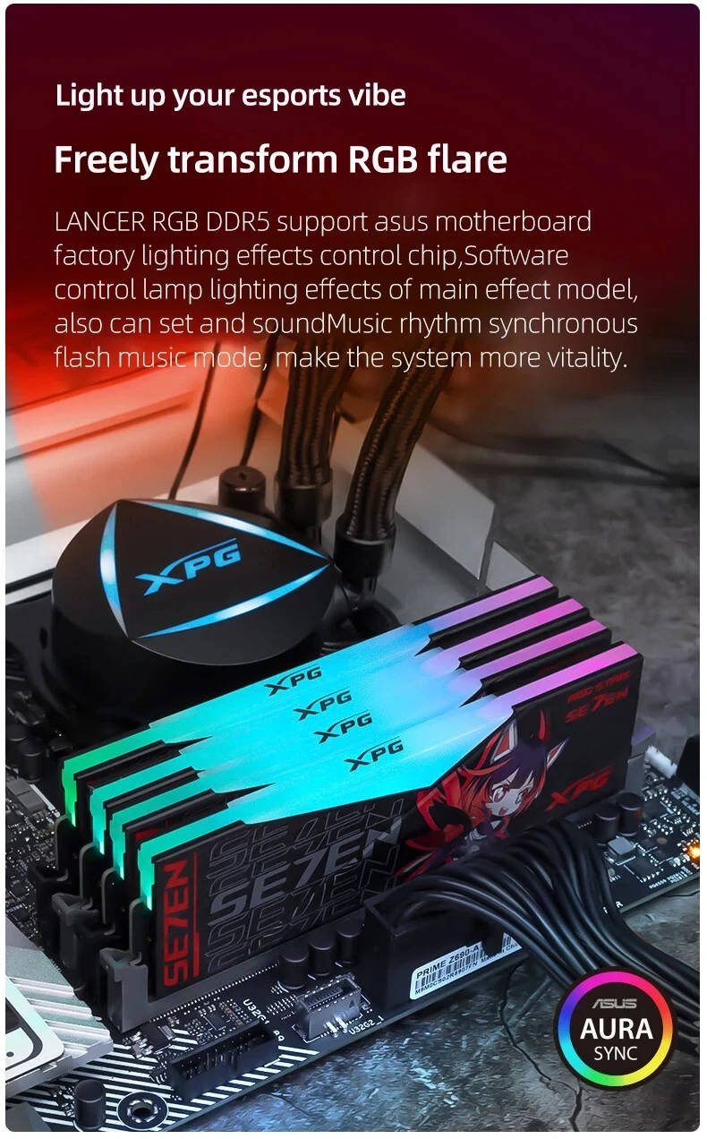 ADATA - ADATA XPG ROG STRIX 64GB DDR5-6400 吹雪 ASUS RGB ROG STRIX DDR5 6400mhz ADATA XPG LANCER 64G(32*2