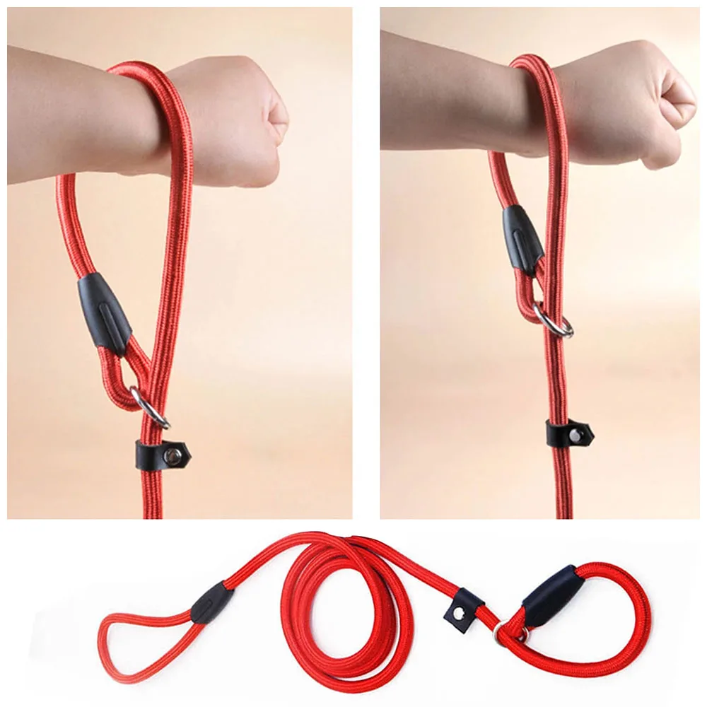 Slip Lead Dog Leash Collar For Puppy Pet Small Dogs Training Walking dog leash,dog collar,pet collar
