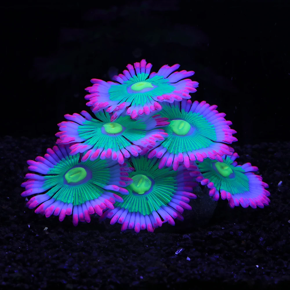 Fish Tank Decorations Silicone Simulated Sea Anemone Night Glow