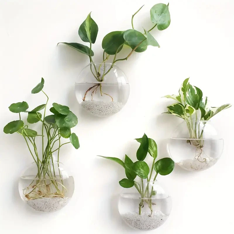 Wall-Mounted Glass Plant Terrarium 3