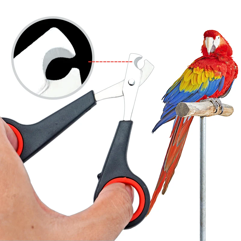 Pet Nail Clippers Cutter Parrot Nail Trimmer Scissors for Dogs Cats Birds Guinea Pig Animal Claws Paw Cutter Bird Parrot Shear