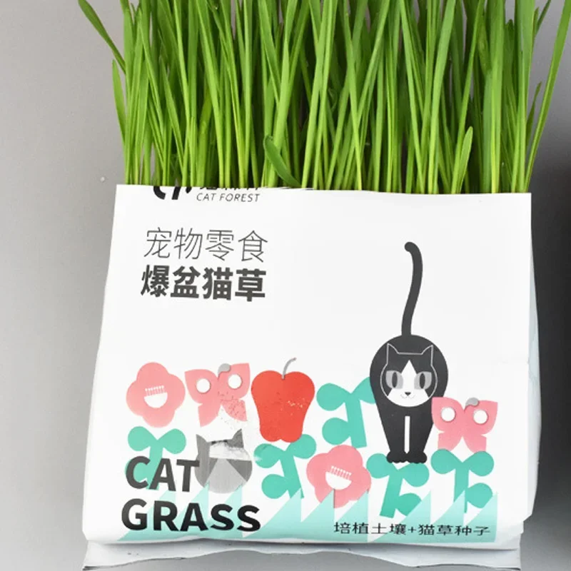 Cat Grass Cat Snacks Hair Ball Grass Potted with Seeds Promote Digestion