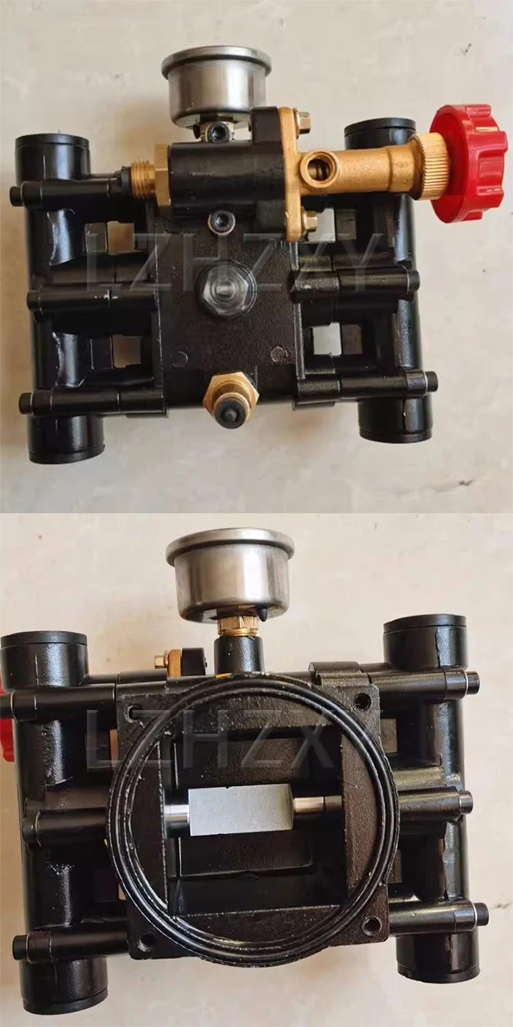 Twin-Cylinder Plunger Pump Head Assembly; Column-Type Pump Head; Pump Head for S