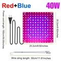 40W Red Blue