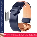 B Drak Blue-Rose