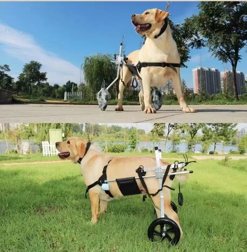 Medium and large dog wheelchair car pet hind limb lumbar paralysis rehabilitation training scooter