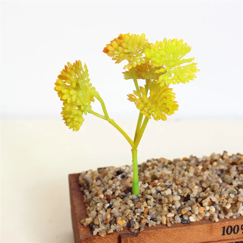 Colorful Mini Succulent Plant Set for DIY Wall Flower Arrangements