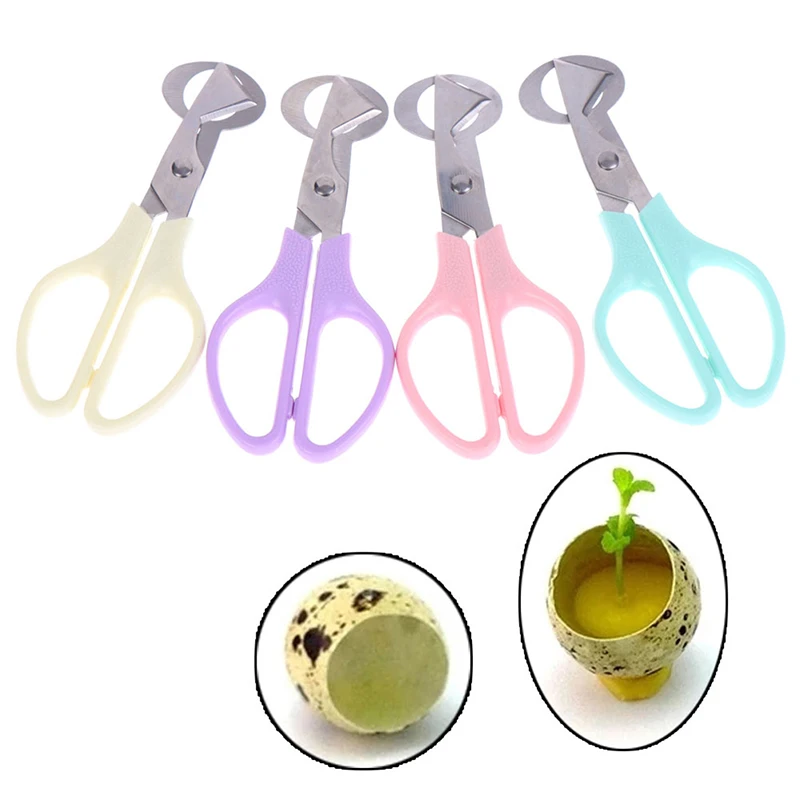 Egg Slicer Egg Shell Scissors Quail Egg Scissors Bird Egg Scissors Stainless Steel Cutters EggShell Cutters Opener Kitchen Hand Tools