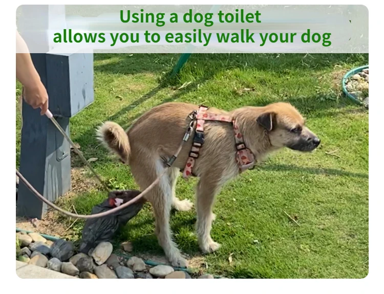 Recogedor De Excrementos Perro Recogedor De Caca Para Perros