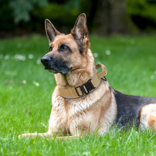 Nylon Durable Dog Collar Military Tactical Pet Training Collars Reflective Necklace With Handle Strong For Medium Large Dogs 4