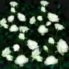 Solar Flower Light 5 Heads Rose Lawn Lamp Pathway Decorative Solar Waterproof for Outdoor Yard Patio Garden Landscape Decor 1