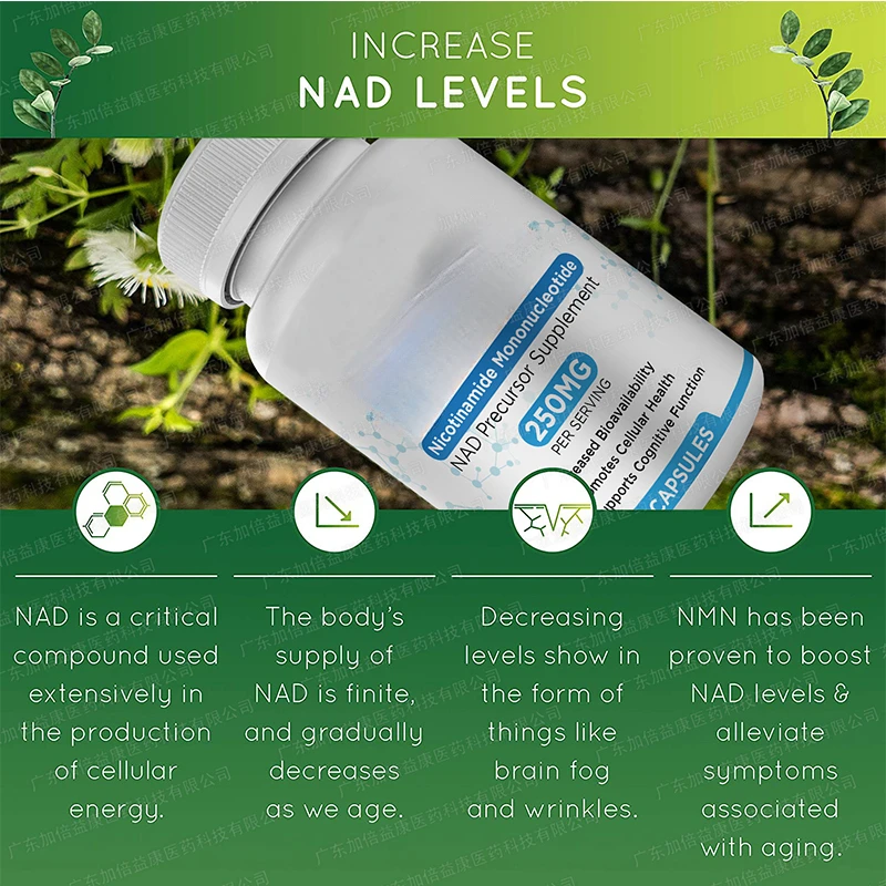 nicotinamide mononucleotide capsule 2 Bottle supports cell repair growth reduces wrinkles increases skin elasticity