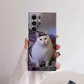 Z2