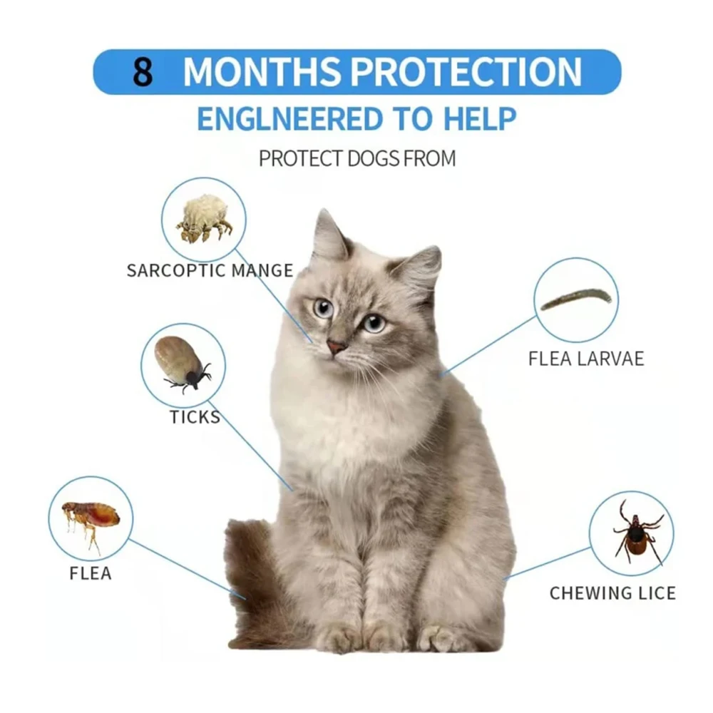 1Pc cat collar, waterproof, decorative, adjustable, suitable for kittens, the best choice for cat owners