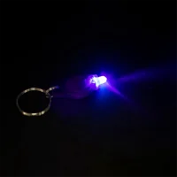 Pack of 100 LED Keychain Flashlight, 395Nm UV Keychain Flashlight, UV Light Flashlight Keychain,Purple 2