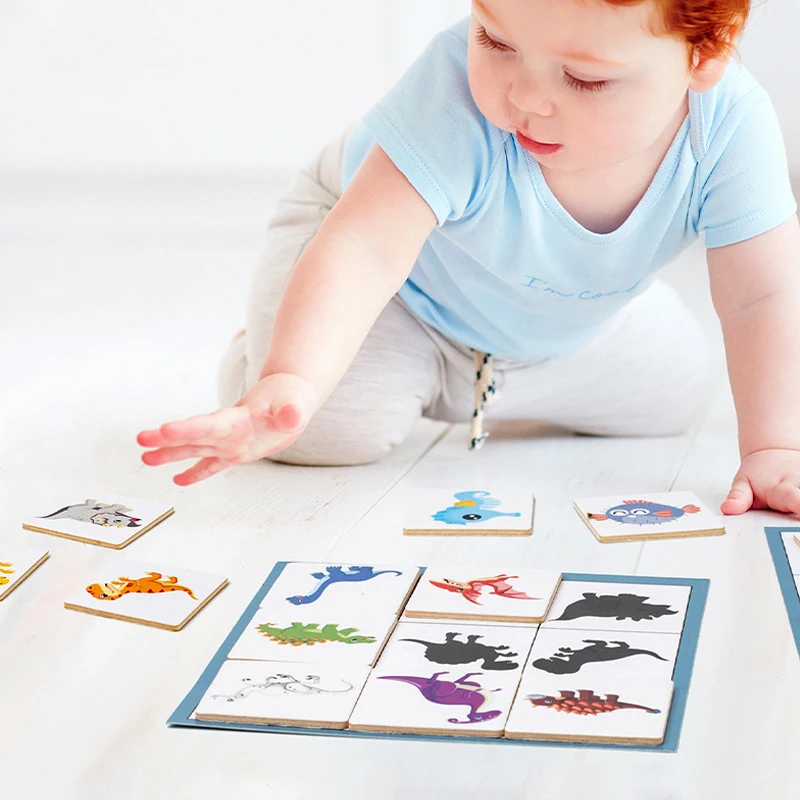 Montessori Shadow Matching Puzzle 6