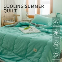 2024 new Japanese polyester cotton quilted summer quilt skin-friendly washable light luxury style solid color lightweight 2
