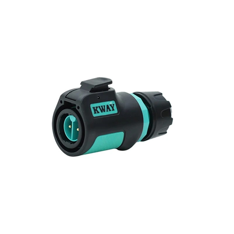 2PIN Plug