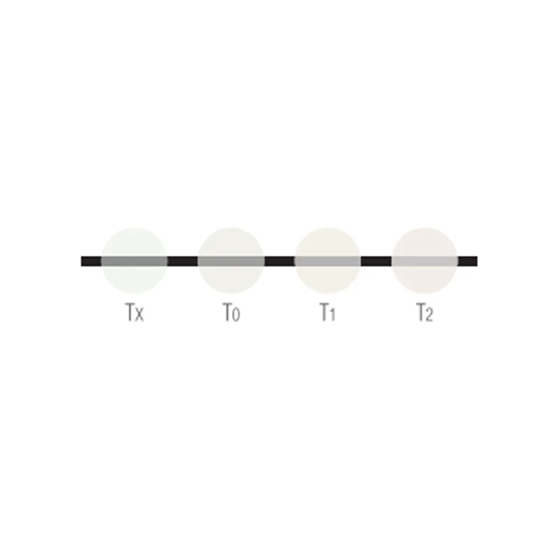 Noritake CZR Transparent -50g 3