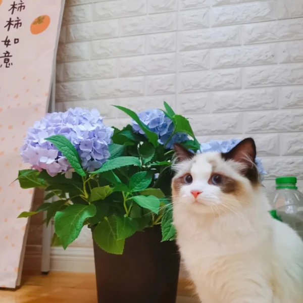 Gardenpets Supplies Store