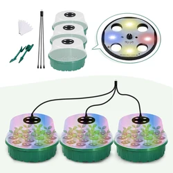 Enhanced Seed Starter Tray with LED Grow Lights and Humidity Control Dome (3 pot Kit)