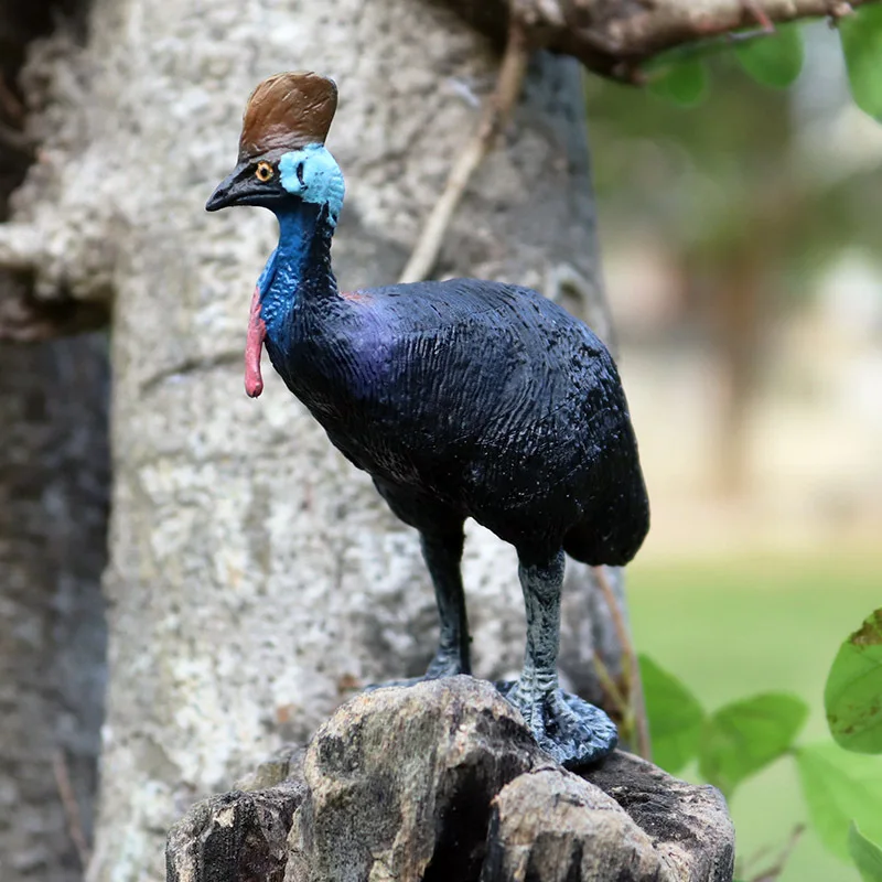 blue firebird animal