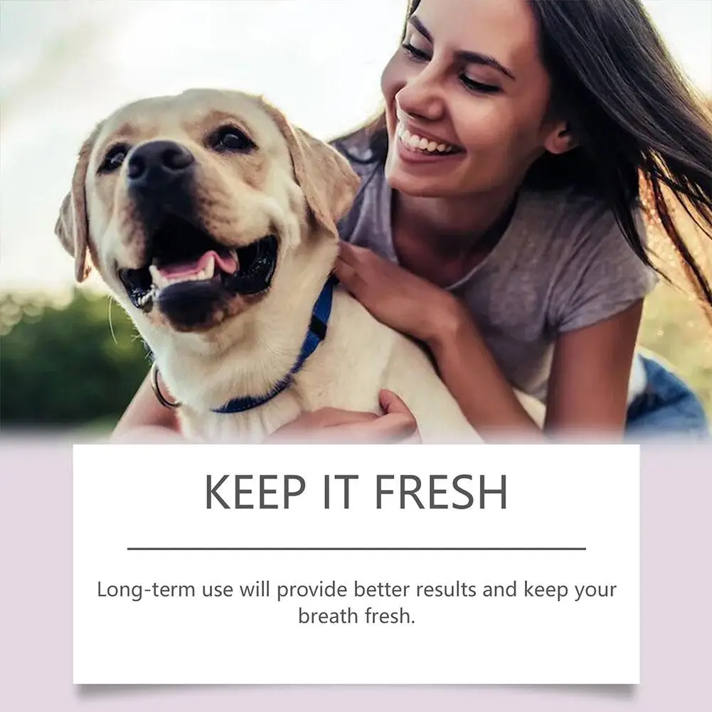 3ml Pet Teeth Pen Cleaning Tool For Dogs And Cats Keep Mouth Healthy Prevents Oral Problems Removal Bad Breath Pet Teeth Pen