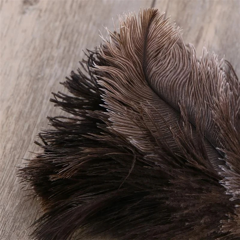 Рисунок 3 - Щетка для чистки страусиных перьев