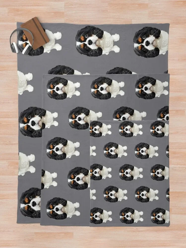 ī�߸��� ŷ ���� ���дϾ� Ʈ���� ���ο� ���, ���� ���� ���, ���� ��� ���