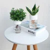 Mini Hydroponic Flower Pot Transparent Soilless Plant Vase for Home Decoration, Imitation Glass Green Plants Pot 3 Mini Hydroponic Flower Pot Transparent Soilless Plant Vase for Home Decoration, Imitation Glass Green Plants Pot 3
