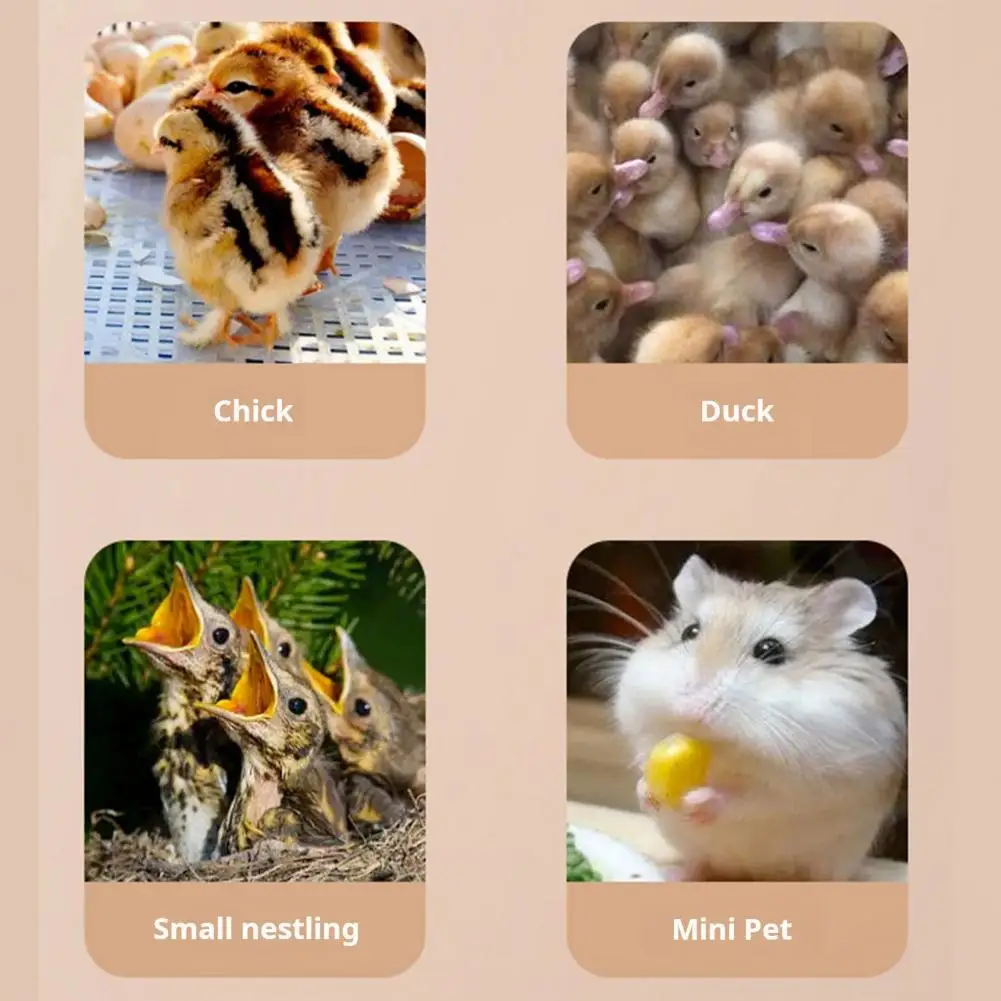 ױ ǻ  ÷Ʈ, ݷ µ    ,  ȿ ġŲ δ 