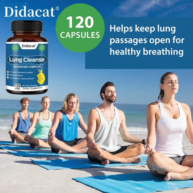 Mullein, Quercetin and Cordyceps Extract-Support lung detoxification, immune system and respiratory health, 30/60/120 capsules