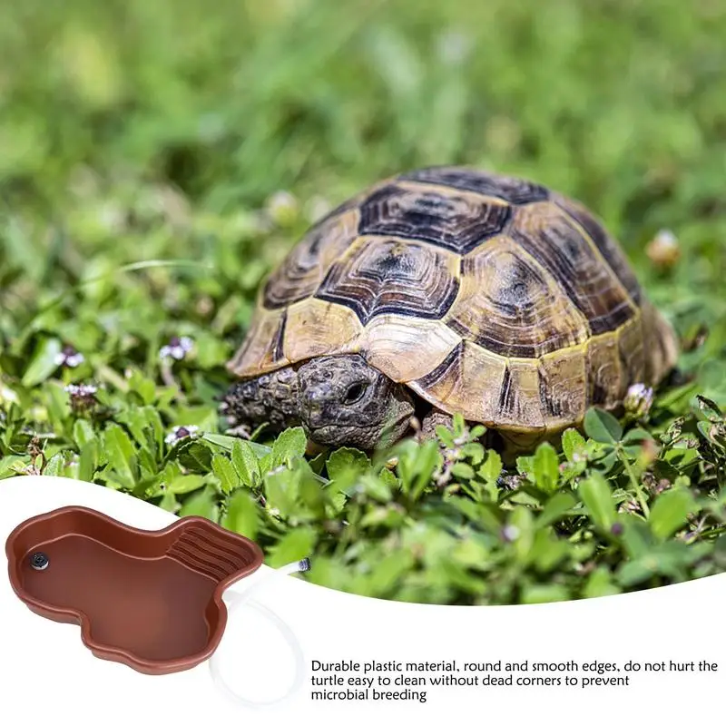 Plato de alimentación de tortuga para reptiles, piscina con rampa y terraza, adorno de acuario para Tortuga, dragón barbudo, Gecko Yard 3