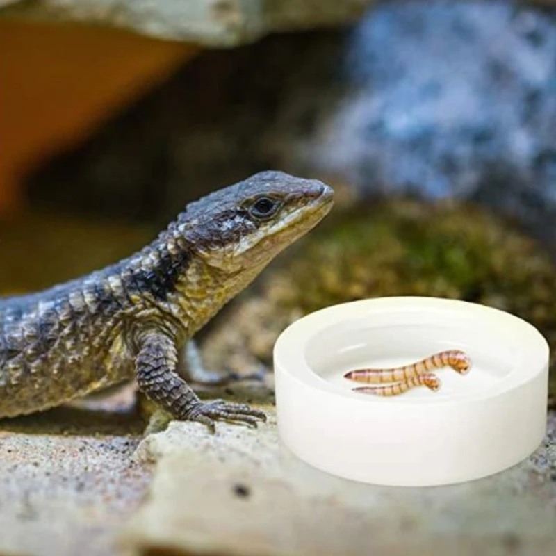 

Anti-Escape Reptiles Feeder Bowl Water Bowl Ceramic Dish for Leopard