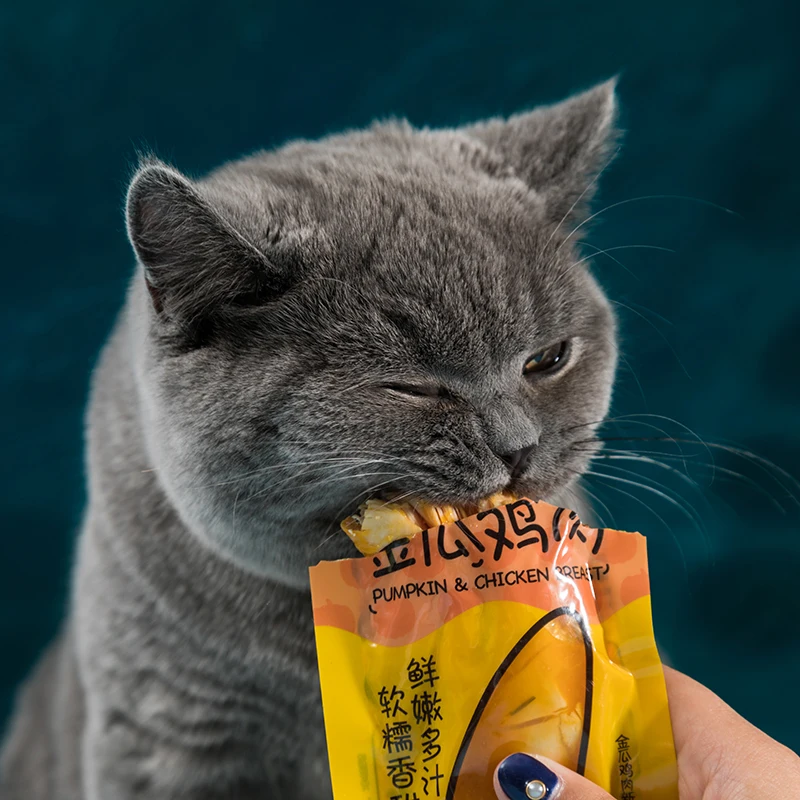 Pet Snack Wet food Boiled Chicken Breast & Pumpkin Fit For Cats And Dogs Nutritious Mixed Food And Complementary Food