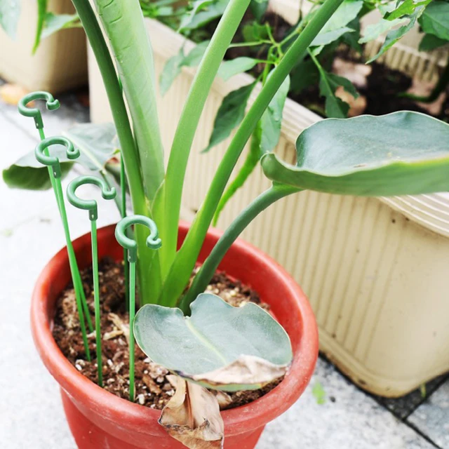 10 Darabos Pillangók Orchidea Zamatos Virágállvány Tartó Cserepes Rúd Kerti Készletek Növények Szár Hegymászás Rögzített Támogató - Image 6
