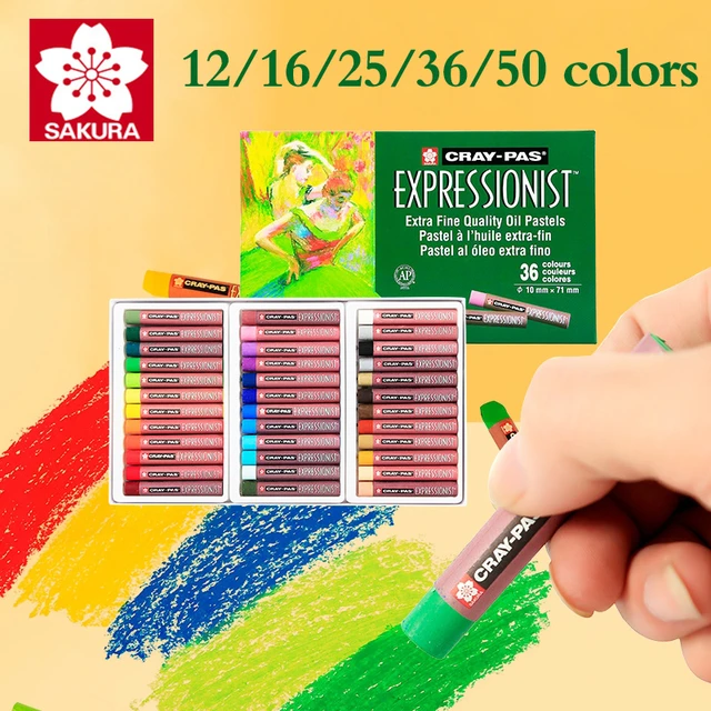 Arrtx 72 Vivid Colors Soft Oil Pastel Pencils Professional Oil Pastel  Crayons for Drawing Artist Art Supplies