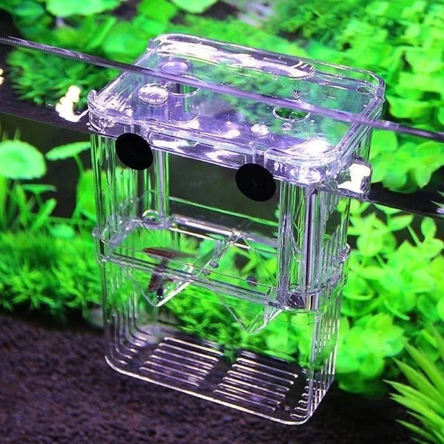 Multifu Fish Aquarium High Clear Breeding Isolation Box Pet Supplies Breeder Tank Double Guppies Hatching Incubator Pet Products 1