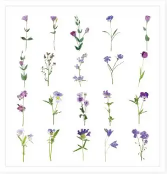 30 팩 도매 튤립 꽃 애완 동물 스티커 공장 손 데이지 Scrapbooking 재료 미적 문구 핸드북 장식 4CM