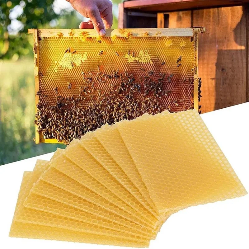 Beekeeping Tools 10pcs Bee Wax Foundation Bee Hive Wax Frames Base Sheets Comb Honey Frame Beeswax Sheets