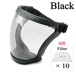 Enhanced Full Face Anti - Fog Protective Shield (Black and 10Filter)