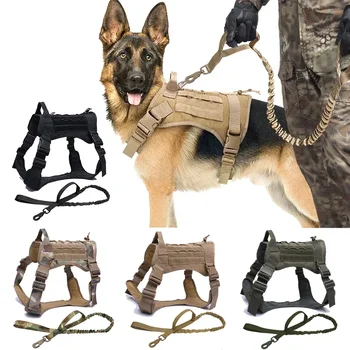 Dog Collar Leash and Harness Set