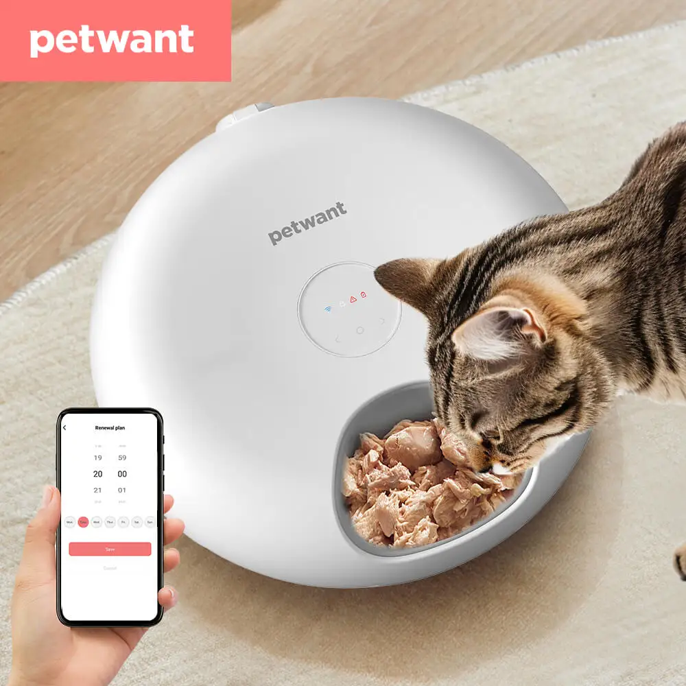 Petwant Smart Wireless Cat Dog Small Animals 6 meals Dry Wet Food Dispenser APP WIFI Remote Timed Automatic Pet Bowls Feeder