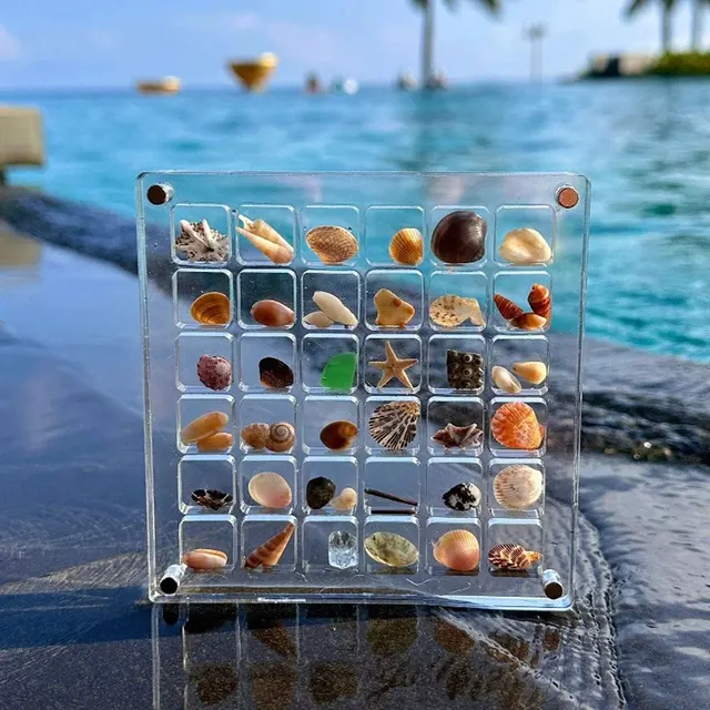 貝殻付き　インテリアスタンド アクリル磁気seashellディスプレイケース、オーガナイザー