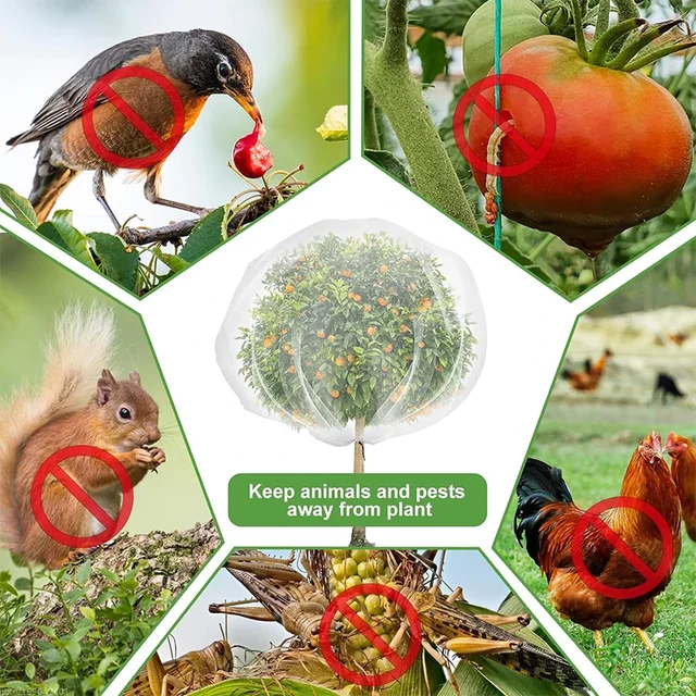 Fippy - 4 Redes Antipájaros Para árboles Frutales (2.3x3.3 Pies) - ¡Protege Tus Frutas De Insectos Y Animales!