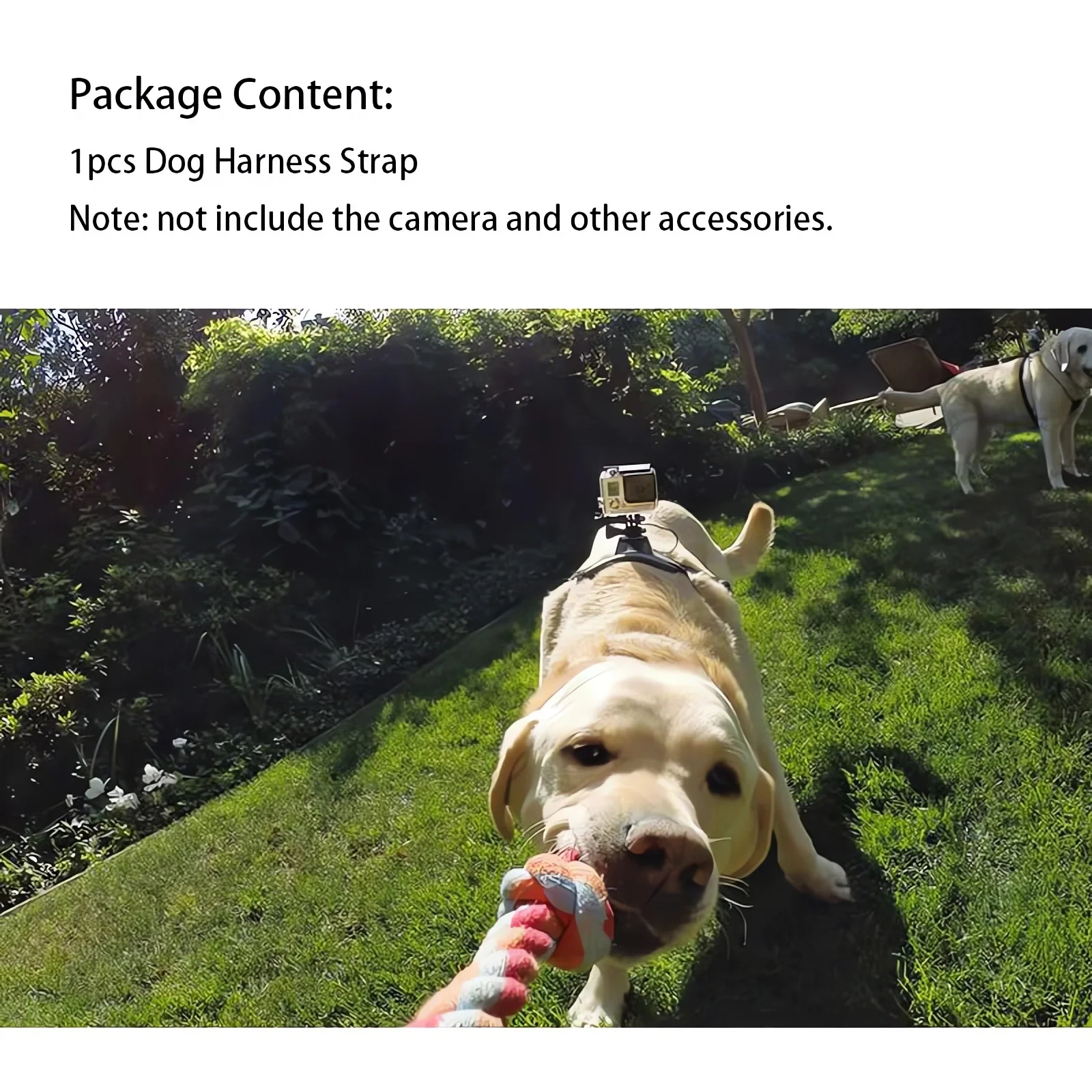 Adjustable Fetch Dog Harness with Sports Camera Mount Holder