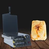 Popular Commercial Shrimp Fossil Cake Waffle Machine Snack Food Dried Seafood Pie Pancake Steamer 2