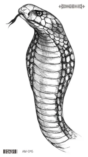 Image 35