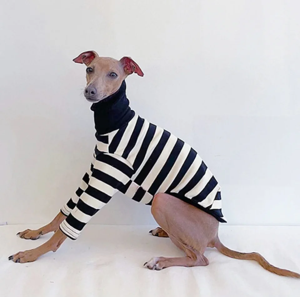 Suéter Para Cães Pro Pet - Lã Com Gola Rolê | Listrado Marrom E Branco